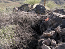 photo thumbnail #11