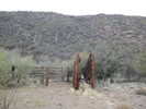 photo thumbnail #2