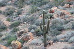 photo thumbnail #13
