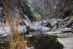 photo thumbnail #14
