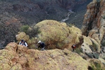 photo thumbnail #9
