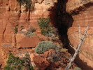 photo thumbnail #14