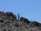 photo thumbnail #11