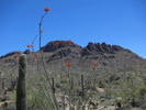 photo thumbnail #13