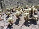photo thumbnail #8