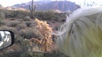 photo thumbnail #1
