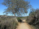 photo thumbnail #13