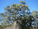photo thumbnail #14