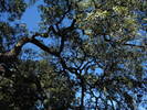 photo thumbnail #15