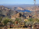 photo thumbnail #9