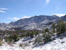 photo thumbnail #12