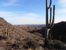 photo thumbnail #2