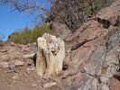 photo thumbnail #8
