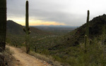 photo thumbnail #12