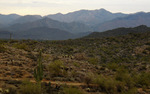 photo thumbnail #7