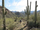 photo thumbnail #4