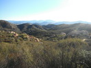 photo thumbnail #1