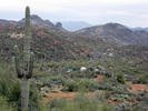 photo thumbnail #9