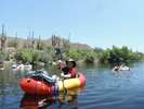 photo thumbnail #3