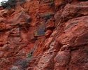 photo thumbnail #15