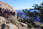 photo thumbnail #7