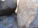 photo thumbnail #4