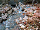 photo thumbnail #5