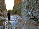 photo thumbnail #12