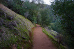 photo thumbnail #14