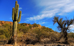 photo thumbnail #5