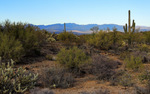 photo thumbnail #6
