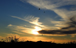 photo thumbnail #14