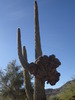 photo thumbnail #5