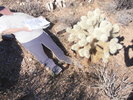 photo thumbnail #5