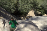 photo thumbnail #7