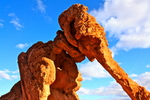 photo thumbnail #4
