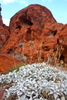 photo thumbnail #7