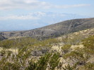 photo thumbnail #10