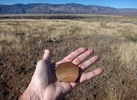 photo thumbnail #4
