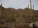 photo thumbnail #1