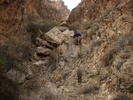 photo thumbnail #9