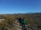 photo thumbnail #3