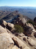 photo thumbnail #13