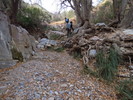 photo thumbnail #2