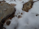 photo thumbnail #12