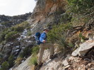 photo thumbnail #7