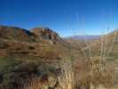 photo thumbnail #3