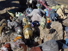 photo thumbnail #9