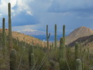 photo thumbnail #7
