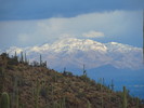 photo thumbnail #8